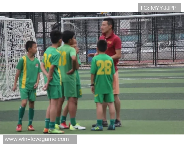 足球运动小锦囊：提升技巧与战术的全面指南助你成为球场明星